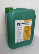 1q_image-02-02-23-08-15-4